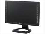 Sony LMD-2451TD